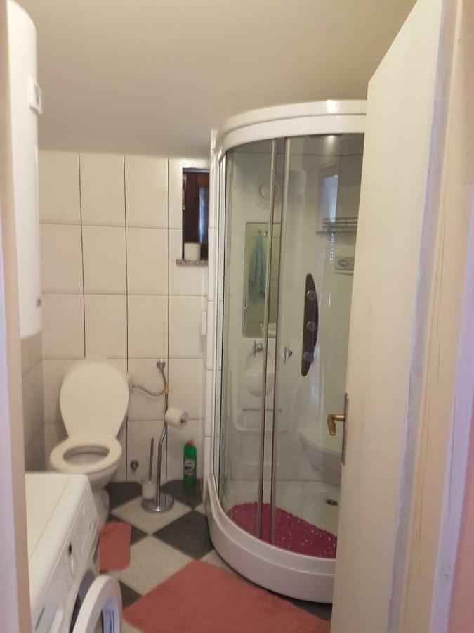 Apartamento Apartman Vil Sveti Vid-Miholjice Exterior foto